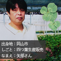 鏡野町で四つ葉のクローバーの生産販売を行う起業家、矢部さん